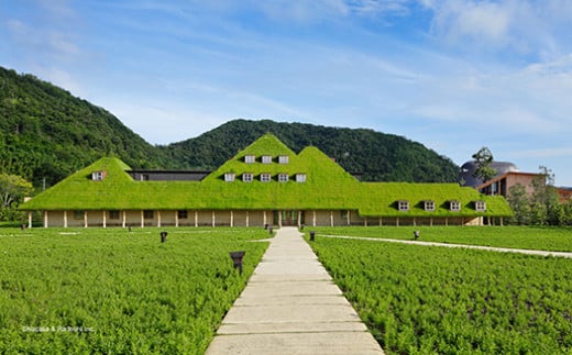 【年内発送】【クラブハリエ】【限定】近江八幡バームクーヘンｍｉｎｉ６個入 シェアボックス 個包装【FC07W】