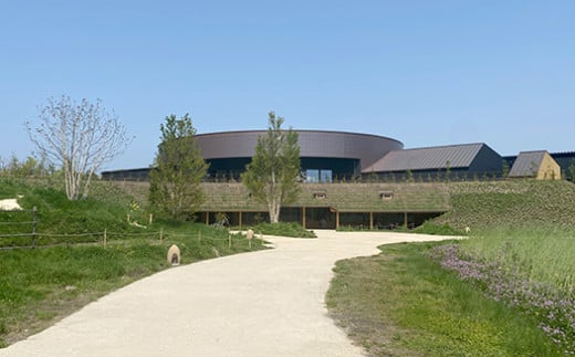 【年内発送】【クラブハリエ】【限定】近江八幡バームクーヘンｍｉｎｉ６個入 シェアボックス 個包装【FC07W】