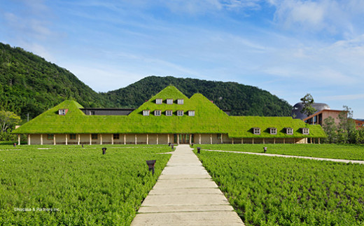 【年内発送】【クラブハリエ】【限定】近江八幡バームクーヘンｍｉｎｉ１２個入 シェアボックス 個包装【FC08W】