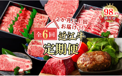 【定期便】近江牛ステーキ/ ハンバーグ/焼肉/すきしゃぶ/ブロック　全６回【FO60W】