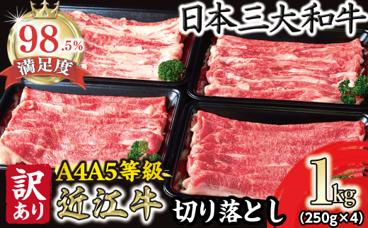 【訳あり】近江牛  切り落とし 250ｇ×4　1kg【A4A5等級】【FO68W】