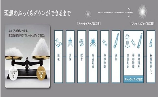 【nishikawa/西川】羽毛ふとん/ポーリッシュホワイトグースダウン95％/S【P059W】