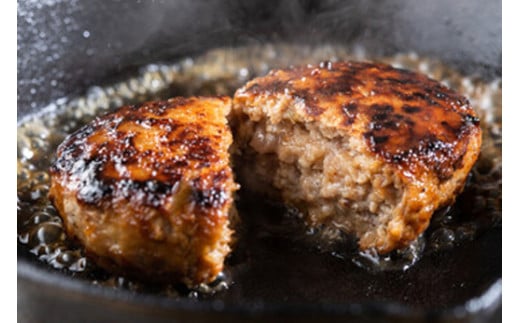 【期間限定】みんな大好き　ハンバーグ定期便【ZZ51W】