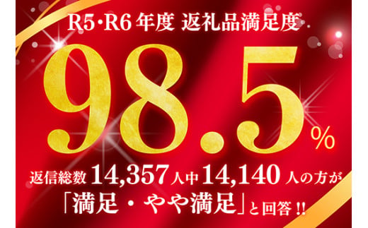 【期間限定】みんな大好き　ハンバーグ定期便【ZZ51W】