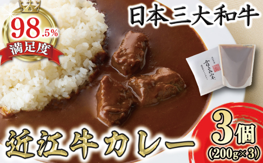 【カネ吉山本】近江牛ビーフカレー（200g×3個入り）【Y185W1】