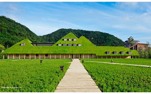 【たねや】栗饅頭５個・斗升最中１０個入【FT12W】