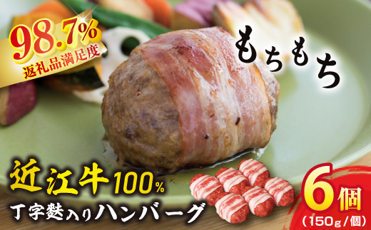 近江牛ハンバーグ【900ｇ（150ｇ×6個）】【AB21W】