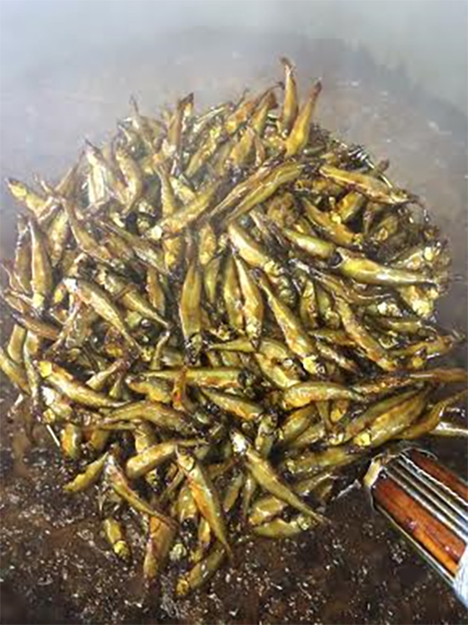 【琵琶湖の四季のおもてなし】近江ふるさとの味セット(４種)【D002W】