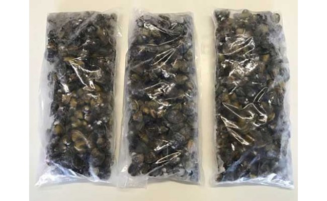 【琵琶湖に感謝！滋味香る！】　琵琶湖産　天然瀬田シジミ　3kgパック【D018W】