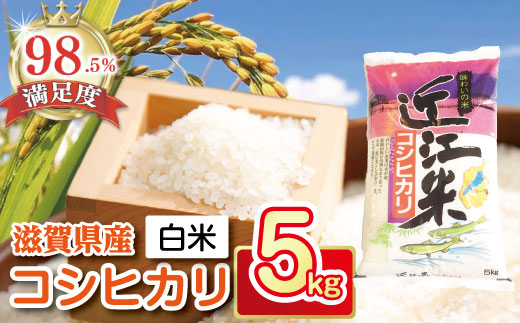 【7年産】近江米こしひかり【5kg×1袋】【T019W2】
