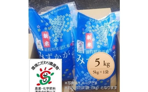 【新米】【7年産】滋賀県近江米「みずかがみ」【環境こだわり米】白米5kg(5kg×1袋)【FM05W1】