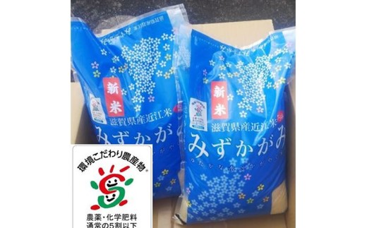【新米】【7年産】滋賀県近江米「みずかがみ」【環境こだわり米】白米10kg(5kg×2袋)【FM06W1】