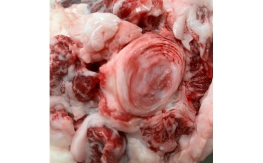 ãæ°ééå®ãåžå°éšäœãè¿æ±çããŒã«2.5kgïŒçŽ500gÃ5ïŒå°åãã§äŸ¿å©ãFO72Wã