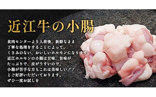 味付けホルモン　秘伝のタレ漬け　近江牛小腸　自家製ダレ　600g（300g×2）【FO73W】