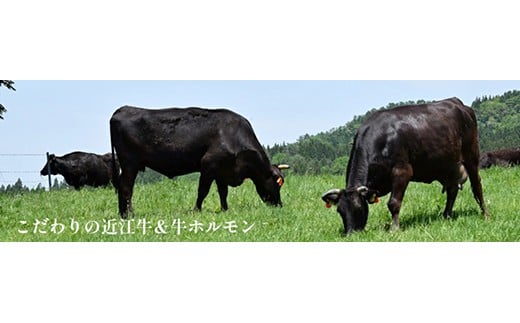 味付けホルモン　秘伝のタレ漬け　近江牛ミノ　1,800g（300g×6）【FO78W】