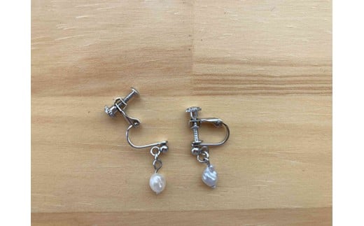 琵琶パールのアクセサリー作り＆真珠養殖体験ツアー【FG04W】