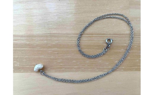 琵琶パールのアクセサリー作り＆真珠養殖体験ツアー【FG04W】