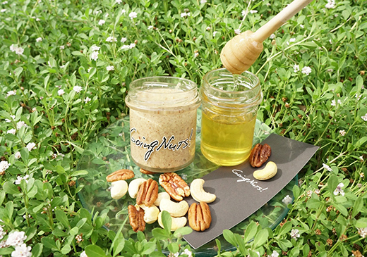 SATOYAMA HONEY NUTS BUTTER! 120gãDE08Wã