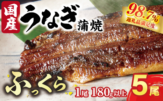 国産うなぎ　備長炭地焼き蒲焼き180g以上×5尾　タレ付き×10【FU05W】