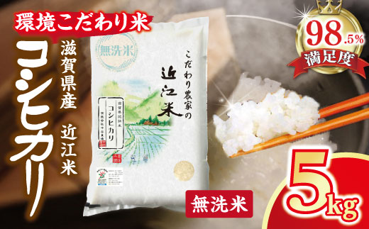 【7年産】近江米 環境こだわり米 コシヒカリ 無洗米【5kg×1】【BN14W】5kg 米 こしひかり コシヒカリ おこめ 贈り物 人気米 ご飯 白米 コメ 贈答 滋賀県 近江八幡市 無洗米