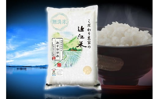 【7年産】近江米 環境こだわり栽培 みずかがみ 無洗米【5kg×1】【BN15W】みずかがみ 米 お米 こめ コメ 白米 ご飯 精米 5kg 10kg 国産 送料無料 おすすめ 人気 大人気 国産 ランキング 無洗米