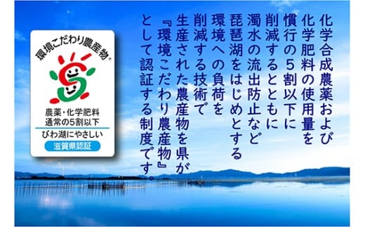 【7年産】近江米 環境こだわり栽培 みずかがみ 無洗米【5kg×1】【BN15W】みずかがみ 米 お米 こめ コメ 白米 ご飯 精米 5kg 10kg 国産 送料無料 おすすめ 人気 大人気 国産 ランキング 無洗米