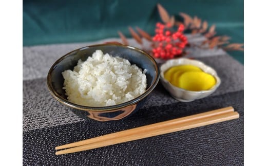 【7年産】近江米 環境こだわり栽培 みずかがみ 無洗米【5kg×1】【BN15W】みずかがみ 米 お米 こめ コメ 白米 ご飯 精米 5kg 10kg 国産 送料無料 おすすめ 人気 大人気 国産 ランキング 無洗米