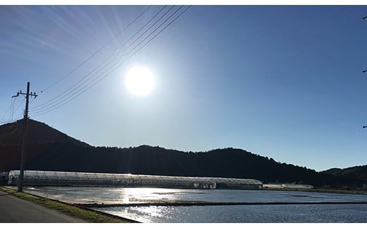 【7年産】近江米 環境こだわり栽培 みずかがみ 無洗米【5kg×1】【BN15W】みずかがみ 米 お米 こめ コメ 白米 ご飯 精米 5kg 10kg 国産 送料無料 おすすめ 人気 大人気 国産 ランキング 無洗米