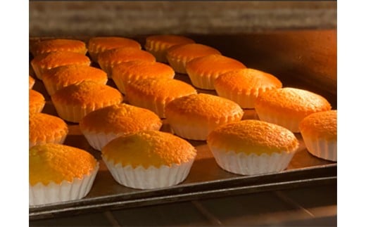 【クラブハリエ】【近江八幡店限定品】昔ながらの八幡マドレーヌ8個入【FC09W】