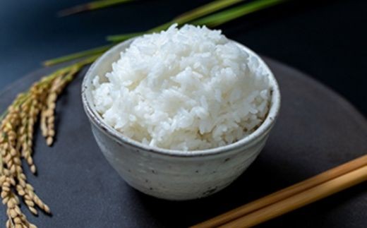 環境こだわり米　きらみずき　10kg（5kg×2袋）【Q005W】