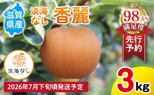 【先行予約】 数量限定 淡海なし 香麗 3kg 箱入り（サイズ：2L～7L　5～10個入り） 【K126W】 