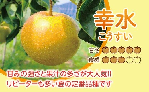 【先行予約】【数量限定】淡海なし　幸水　3kg箱入り（サイズ：2L～7L　5～10個入り） 【K127W】