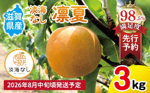 【先行予約】【数量限定】淡海なし　凛夏　3kg箱入り（サイズ：2L～7L　5～10個入り）【K128W】
