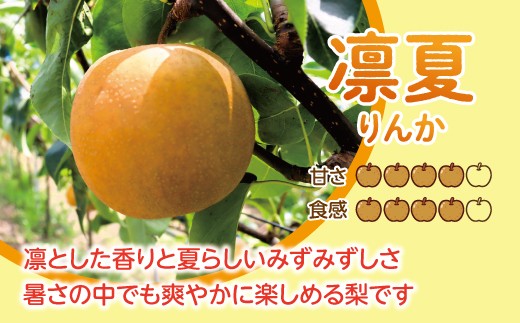 【先行予約】【数量限定】淡海なし　凛夏　3kg箱入り（サイズ：2L～7L　5～10個入り）【K128W】