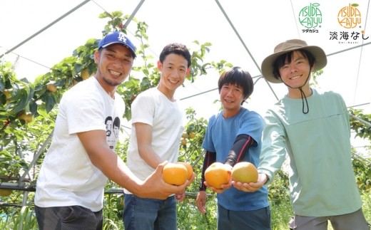 【先行予約】【数量限定】淡海なし　凛夏　3kg箱入り（サイズ：2L～7L　5～10個入り）【K128W】