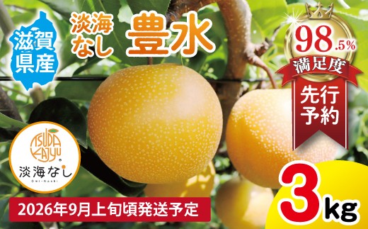 【先行予約】【数量限定】淡海なし　豊水　3kg箱入り（サイズ：2L～7L　5～10個入り）【K129W】