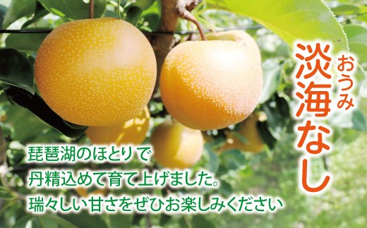 【先行予約】【数量限定】淡海なし　豊水　3kg箱入り（サイズ：2L～7L　5～10個入り）【K129W】