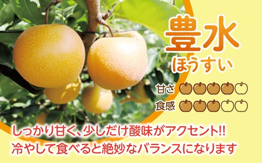 【先行予約】【数量限定】淡海なし　豊水　3kg箱入り（サイズ：2L～7L　5～10個入り）【K129W】