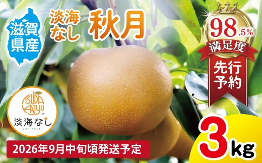 【先行予約】【数量限定】淡海なし　秋月　3kg箱入り（サイズ：2L～7L　5～10個入り）【K130W】