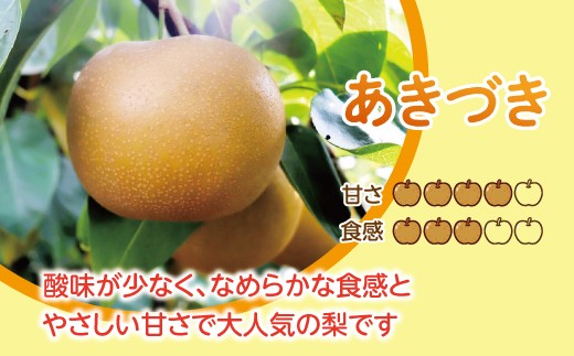 【先行予約】【数量限定】淡海なし　秋月　3kg箱入り（サイズ：2L～7L　5～10個入り）【K130W】