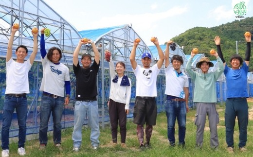 【先行予約】【数量限定】淡海なし　秋月　3kg箱入り（サイズ：2L～7L　5～10個入り）【K130W】