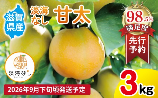 【先行予約】【数量限定】淡海なし　甘太　3kg箱入り（サイズ：2L～7L　5～10個入り）【K131W】