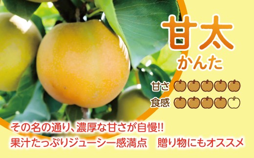 【先行予約】【数量限定】淡海なし　甘太　3kg箱入り（サイズ：2L～7L　5～10個入り）【K131W】