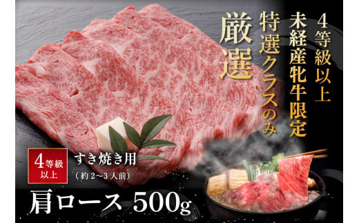ãïŒççŽä»¥äžã®æªçµç£ççéå®ãè¿æ±çè©ããŒã¹ããçŒãã500gããAF03Wã