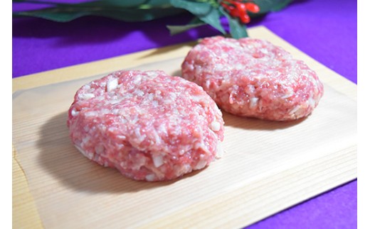 近江牛入（生）ハンバーグ【1.2kg（120ｇ×10個）】【AG09W】