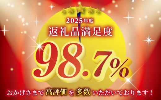 近江牛入（生）ハンバーグ【1.2kg（120ｇ×10個）】【AG09W】