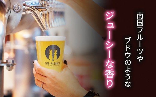 TWO RABBITS BREWING クラフトビール＜キウイ IPA×12本セット＞【DN08W】