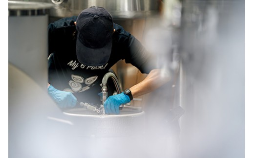 TWO RABBITS BREWING 定番4種と季節のクラフトビール×6本セット【DN21W】