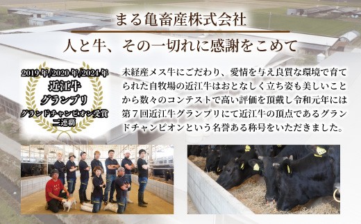 近江牛サーロインステーキ又は焼肉用（200g×3枚）【FK13W】