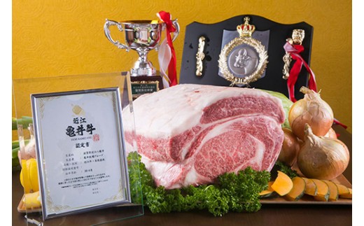 近江牛ヒレ　ステーキ・焼肉用（100ｇ×5枚）【FK21W】